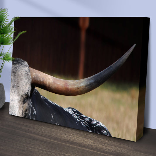 Focused Longhorn Cattle Canvas Wall Art