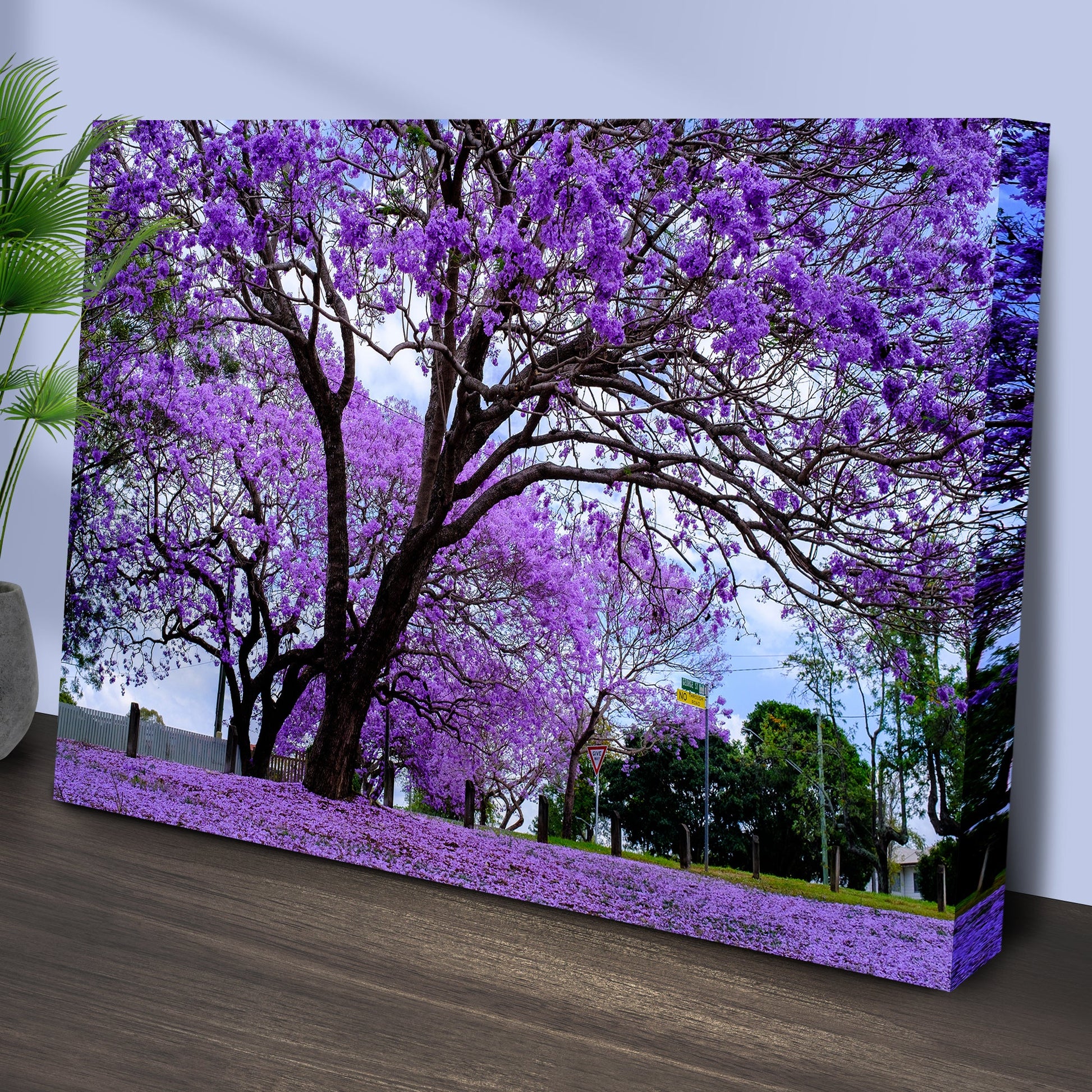 Jacaranda Trees Canvas Wall Art