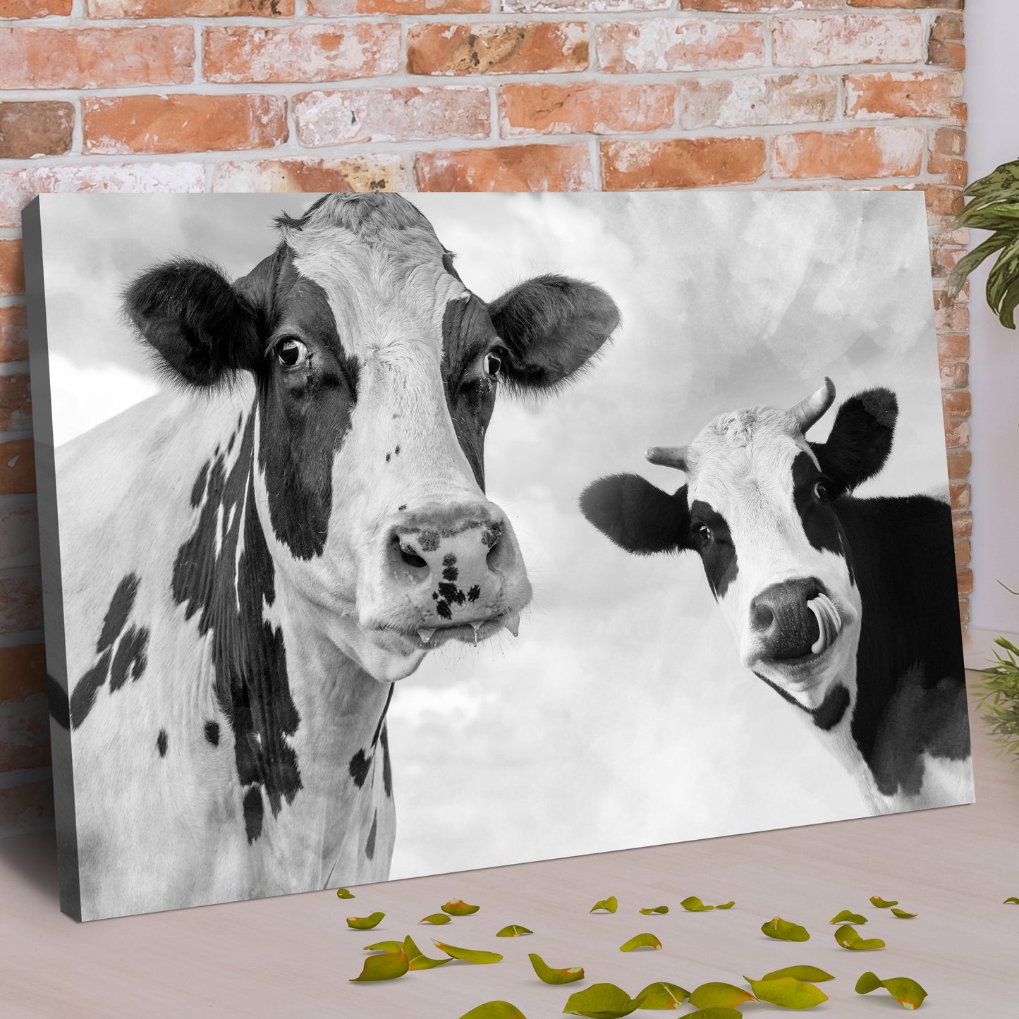 Monochrome Holstein Cows Canvas Wall Art