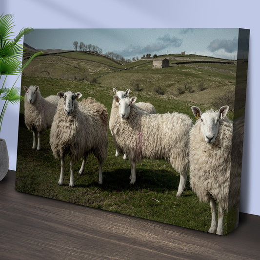 Flock Of Sheep Canvas Wall Art