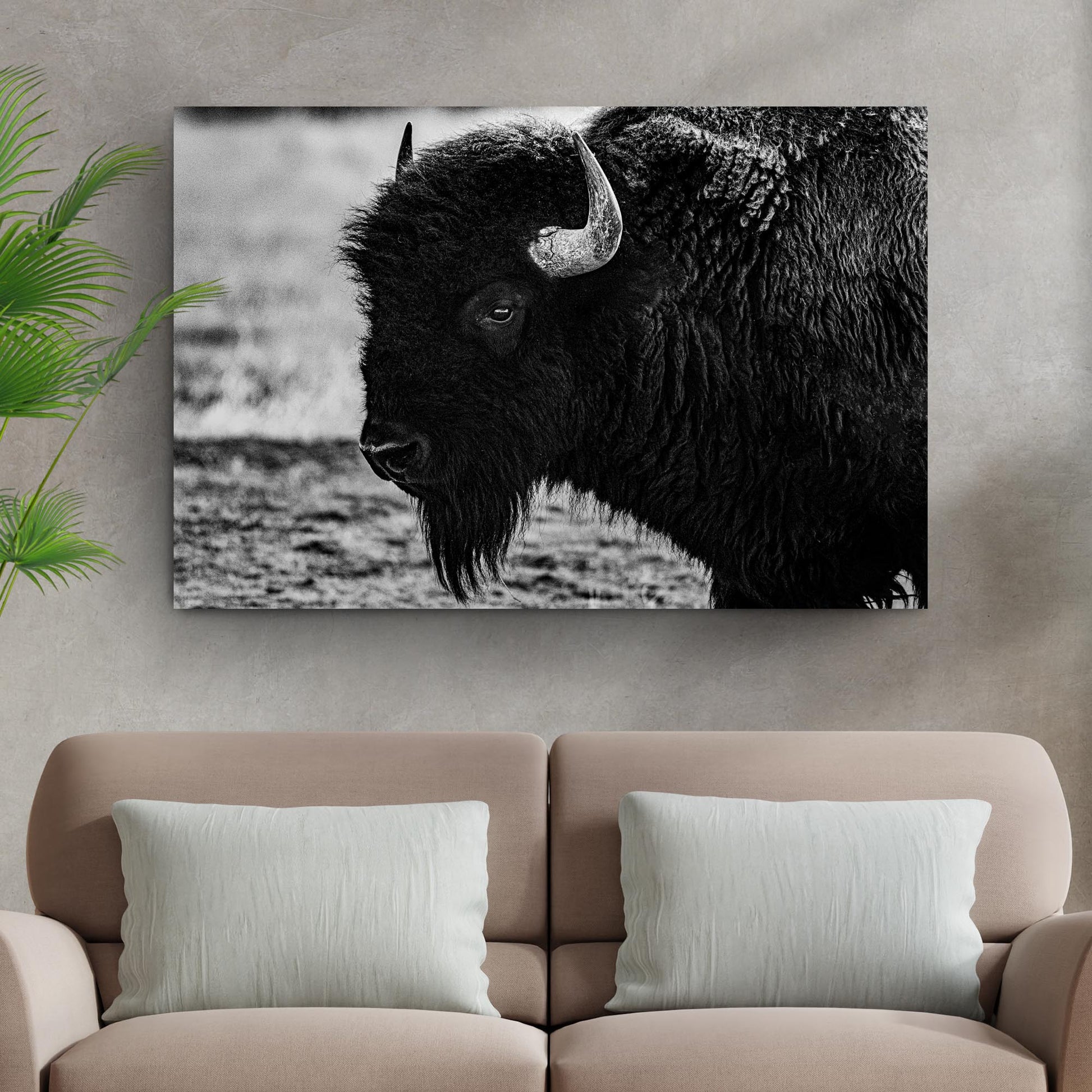 Black and White Bison Canvas Wall Art