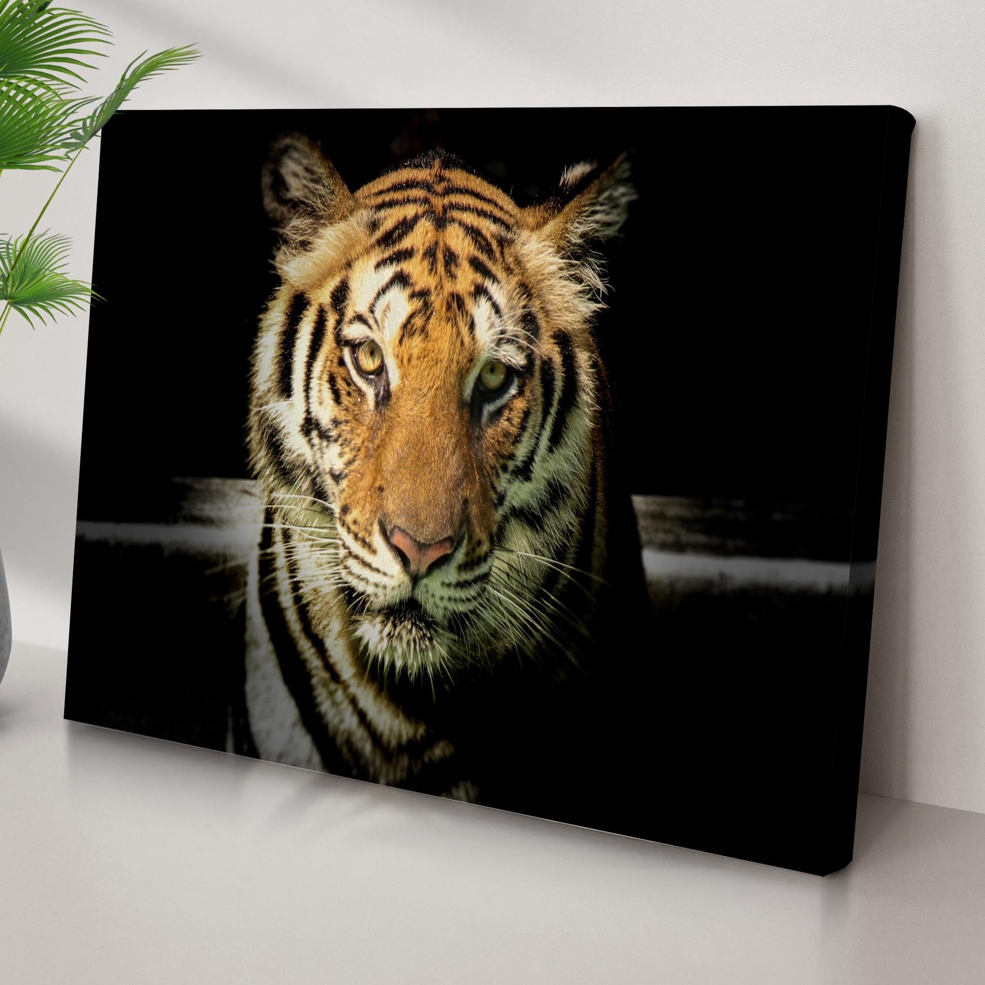 Lurking Tiger In The Dark Canvas Wall Art