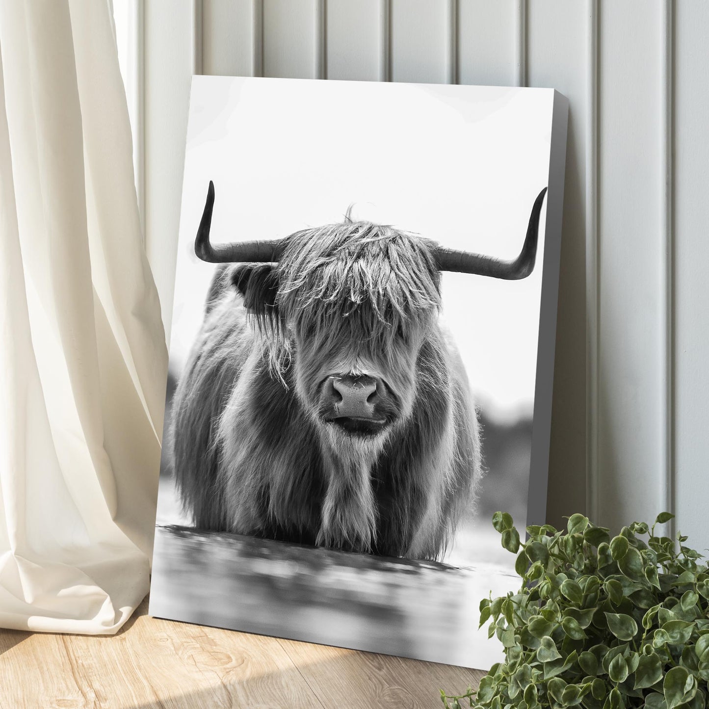Grayscale Highland Cow Portrait Canvas Wall Art
