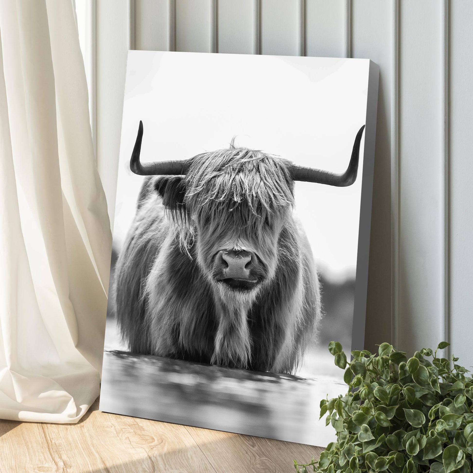 Grayscale Highland Cow Portrait Canvas Wall Art