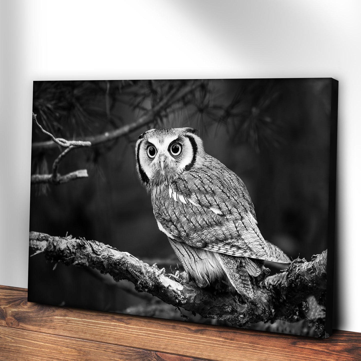 Black And White Owl Canvas Wall Art