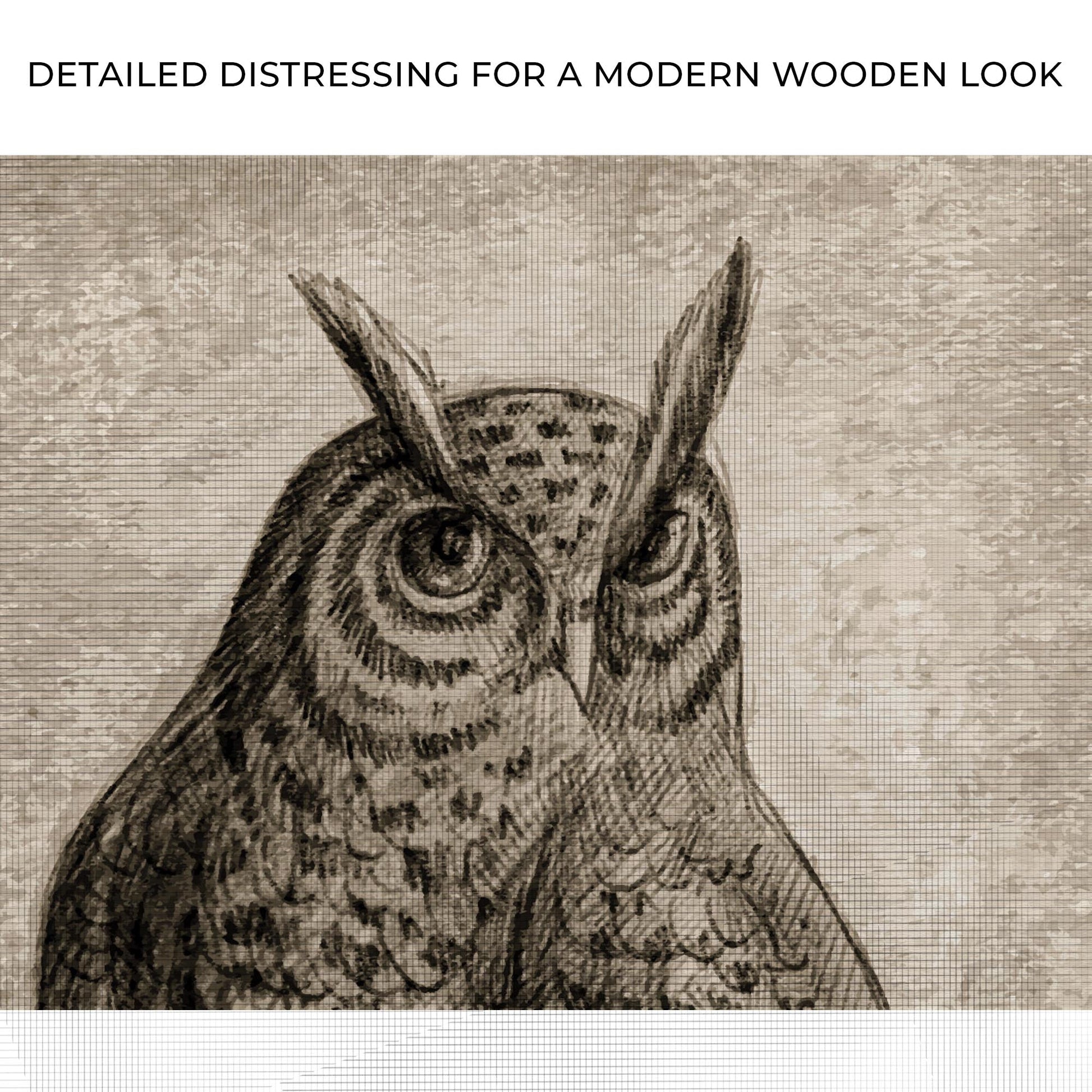Owl Pencil Sketch Portrait Canvas Wall Art
