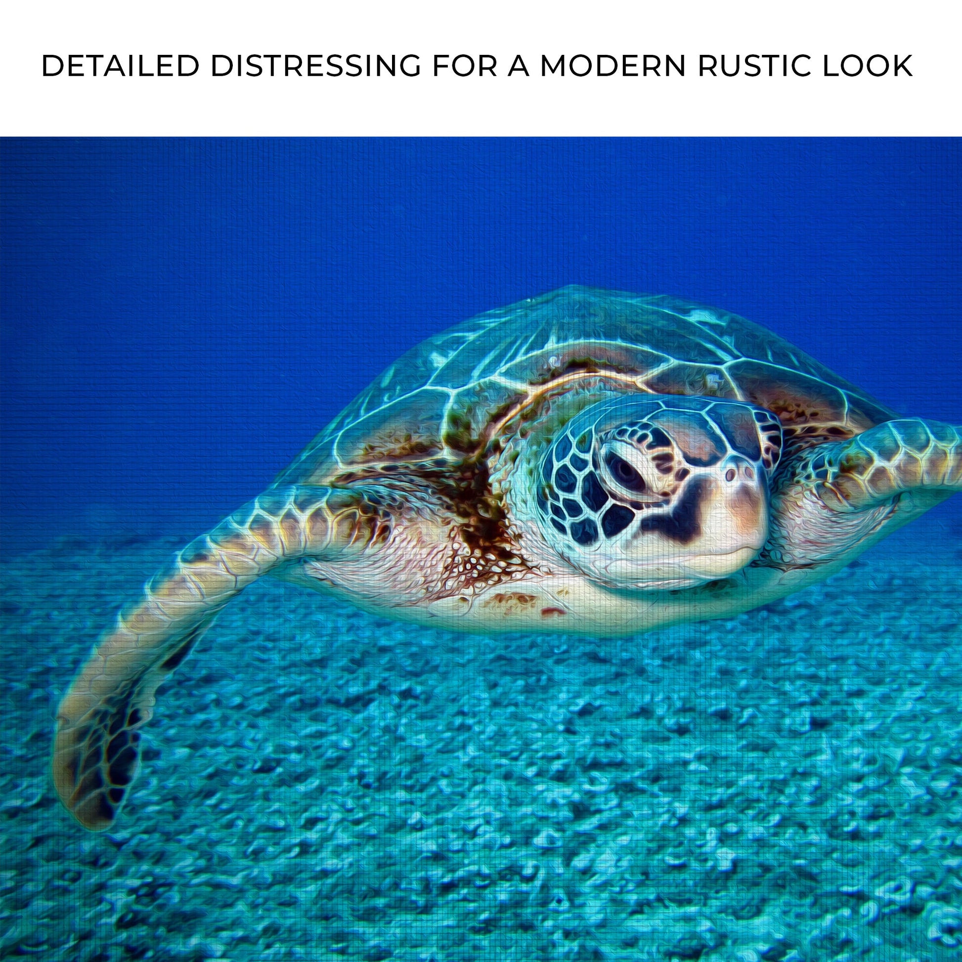 Green Sea Turtle Canvas Wall Art