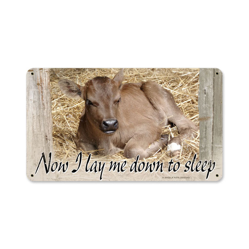 Baby Calf, Home and Garden, Metal Sign, 14 X 8 Inches