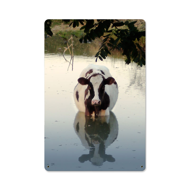 Cow in Water, Home and Garden, Metal Sign, 18 X 12 Inches