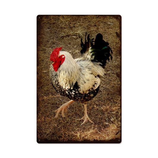 Rooster, Home and Garden, Metal Sign, 16 X 24 Inches