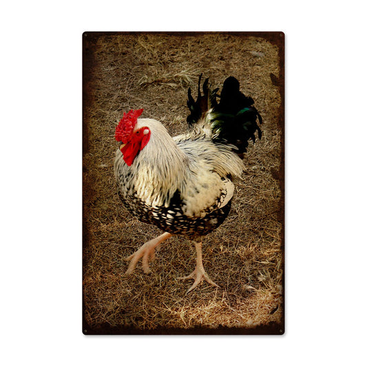 Rooster, Home and Garden, Metal Sign, 24 X 36 Inches
