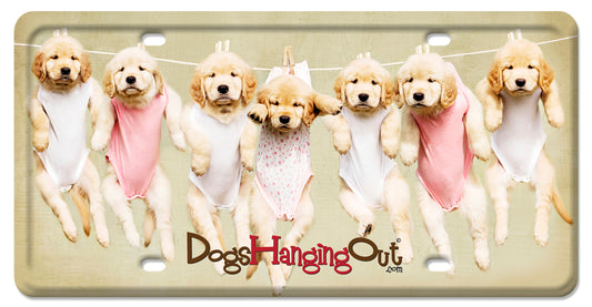 Seven Dogs License Plate, Anilmals, SATIN , 12 X 6 Inches