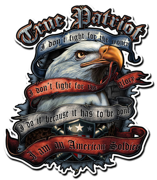 TRUE PATRIOT, Licensed Products/Erazorbits, PLASMA, 13 X 16 Inches