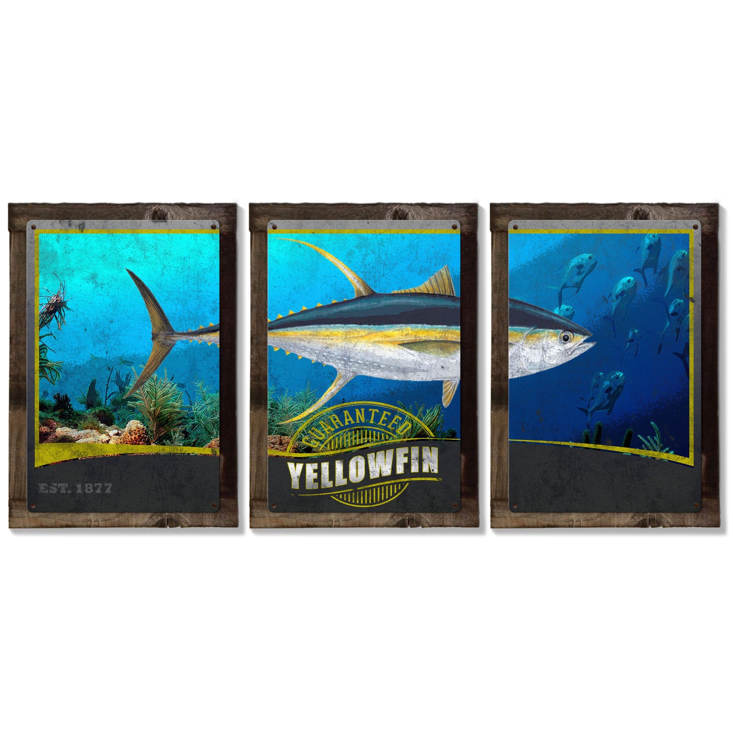 Ahi, Yellowfin Tuna, METAL Triptych, Optional Rustic Wood Frame, Sport Fishing, Wall Art, Ocean, Nautical