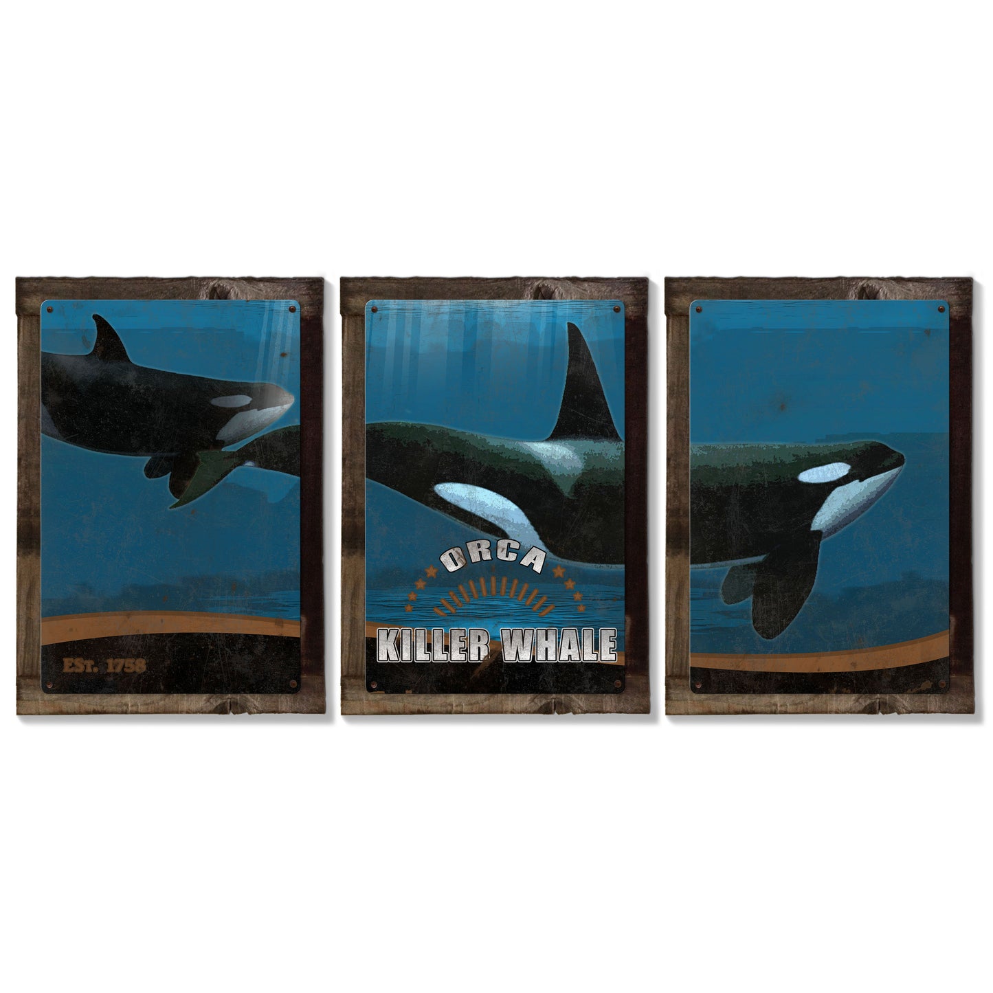 Killer Whale, Orca, METAL Triptych, Optional Rustic Wood Frame, Whale Watching, Wall Art, Ocean, Nautical