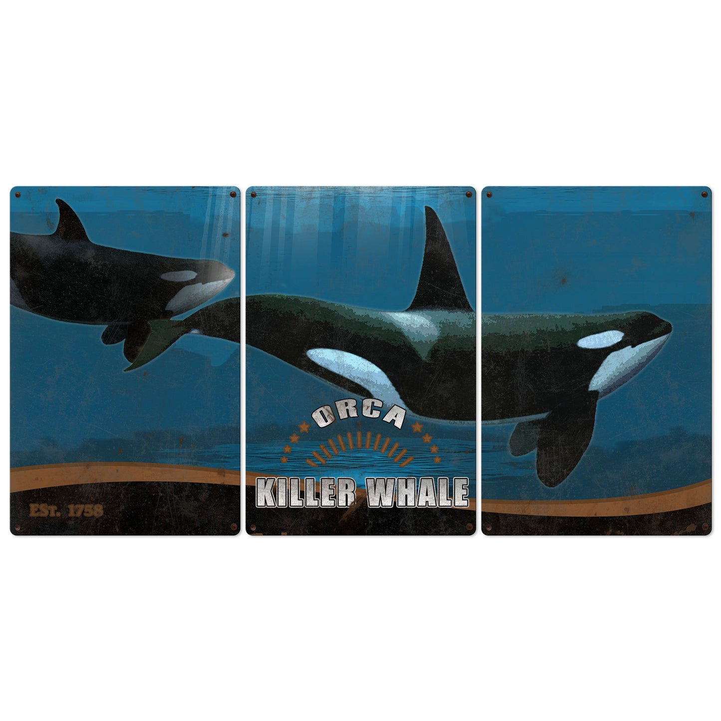 Killer Whale, Orca, METAL Triptych, Optional Rustic Wood Frame, Whale Watching, Wall Art, Ocean, Nautical