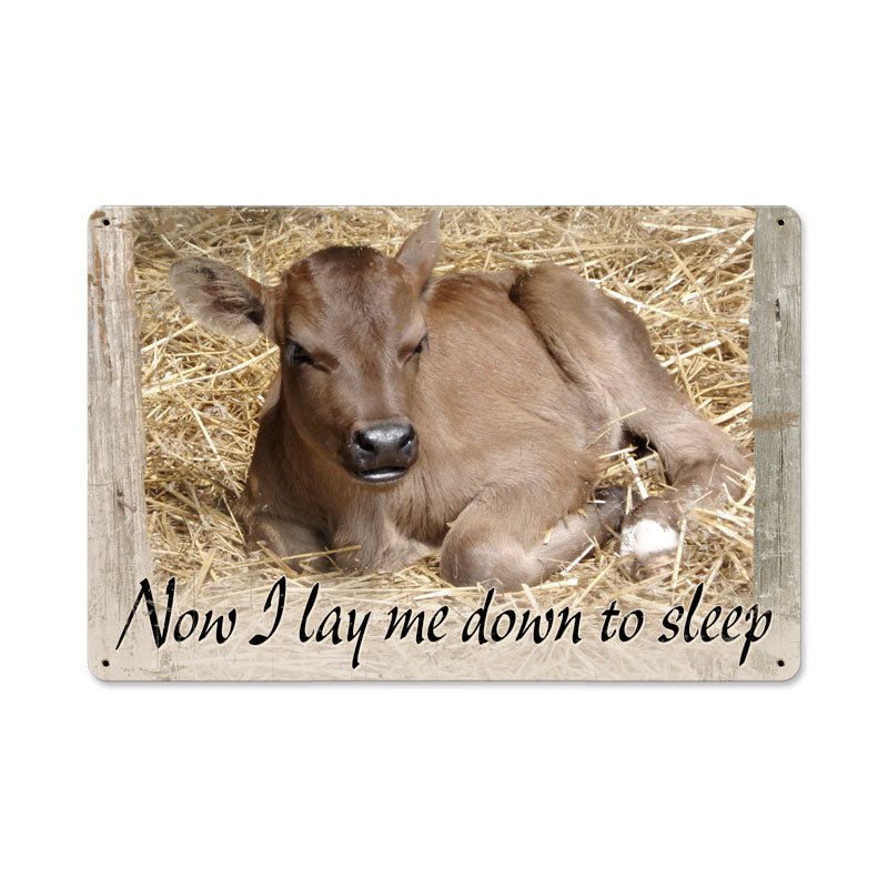 AIF076, Home & Garden, Metal Sign, Wall Art, 12 X 18 Inches