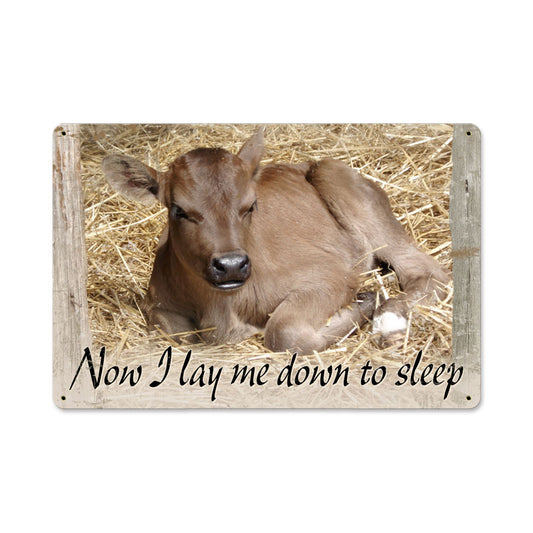 AIF076, Home & Garden, Metal Sign, Wall Art, 12 X 18 Inches