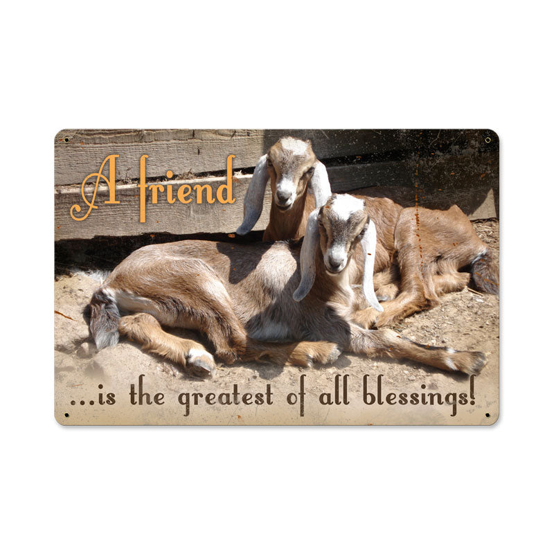 AIF084, Home & Garden, Metal Sign, Wall Art, 12 X 18 Inches