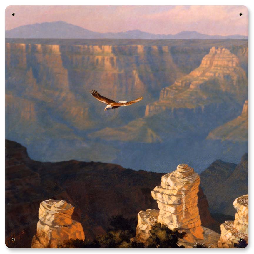 Eagle Over the Canyon Vintage Sign, Automotive, Metal Sign, Wall Art, 12 X 12 Inches