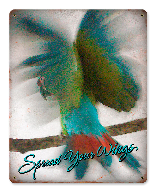SPREAD YOUR WINGS, Home & Garden, Metal Sign, Wall Art, 12 X 15 Inches