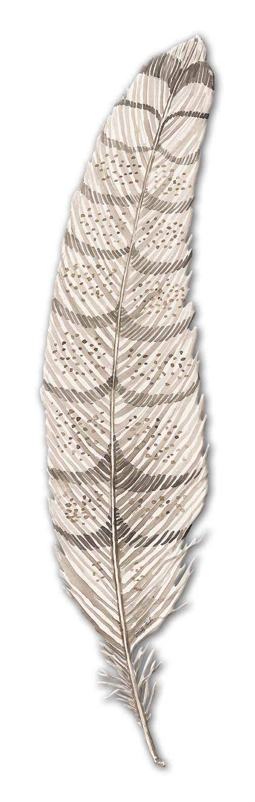 Feather 1 Vintage Sign, Home & Garden, Metal Sign, Wall Art, 5 X 20 Inches