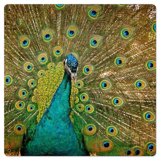 Peacock Vintage Sign, Automotive, Metal Sign, Wall Art, 24 X 24 Inches