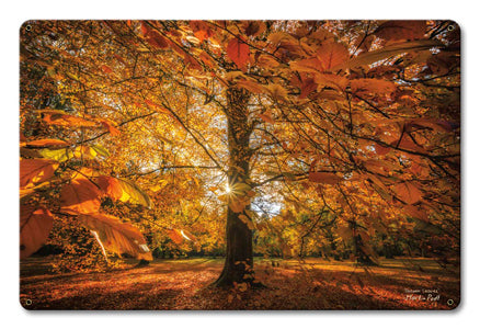 Autumn Scene Vintage Sign, Automotive, Metal Sign, Wall Art, 12 X 18 Inches