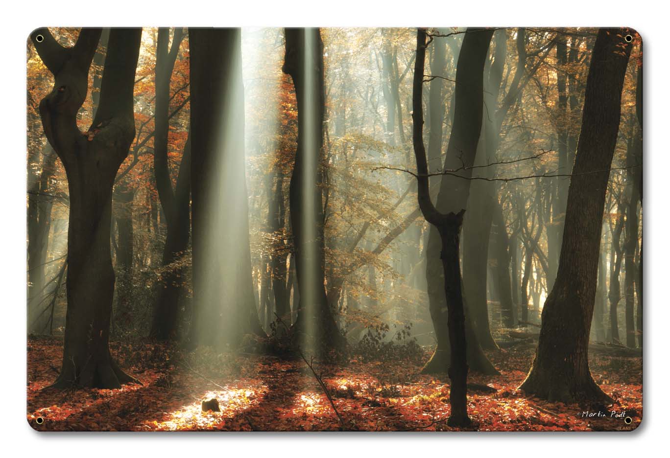 Light Through The Trees Vintage Sign, Automotive, Metal Sign, Wall Art, 18 X 12 Inches