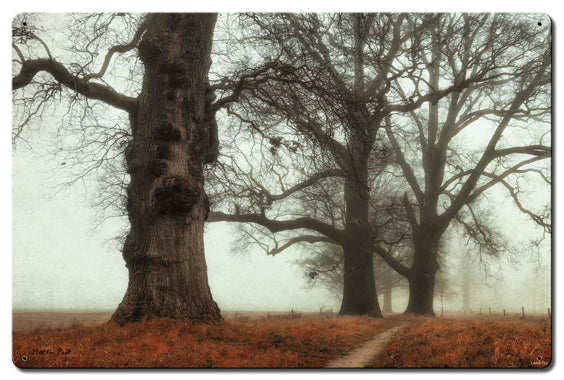 Trees In The Fog Vintage Sign, Automotive, Metal Sign, Wall Art, 24 X 16 Inches