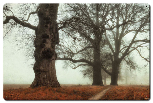 Trees In The Fog Vintage Sign, Automotive, Metal Sign, Wall Art, 24 X 16 Inches