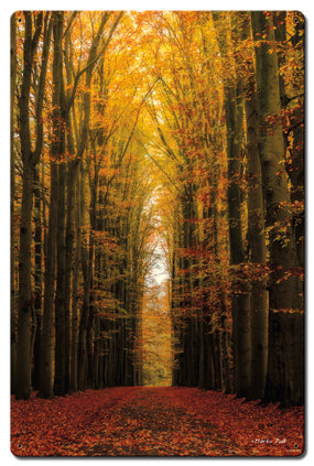 Path of Trees Vintage Sign, Automotive, Metal Sign, Wall Art, 16 X 24 Inches