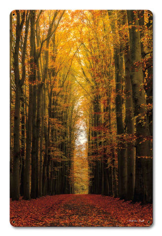 Path of Trees Vintage Sign, Automotive, Metal Sign, Wall Art, 12 X 18 Inches