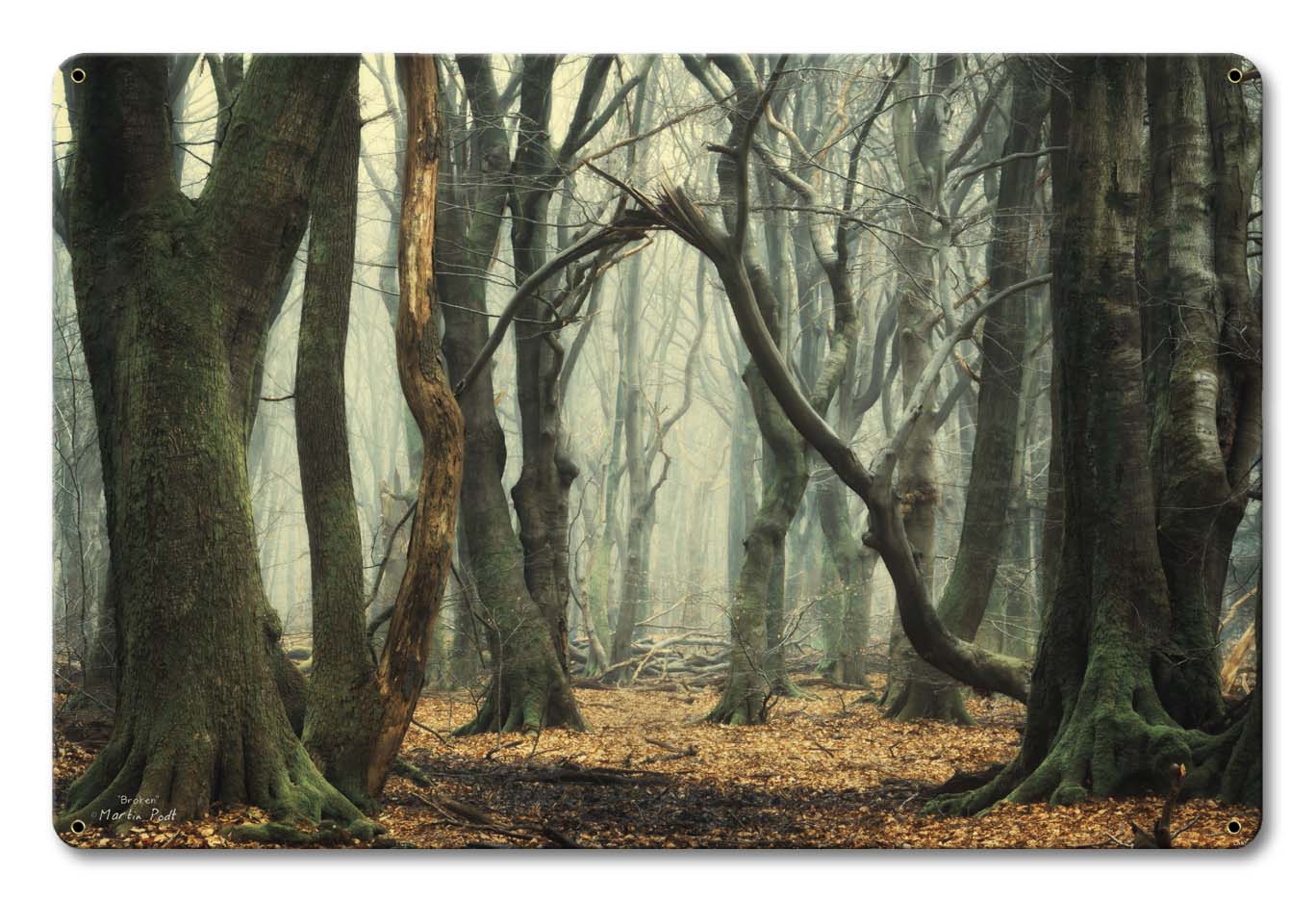 Trees In The Fog Vintage Sign, Automotive, Metal Sign 5, Wall Art, 18 X 12 Inches