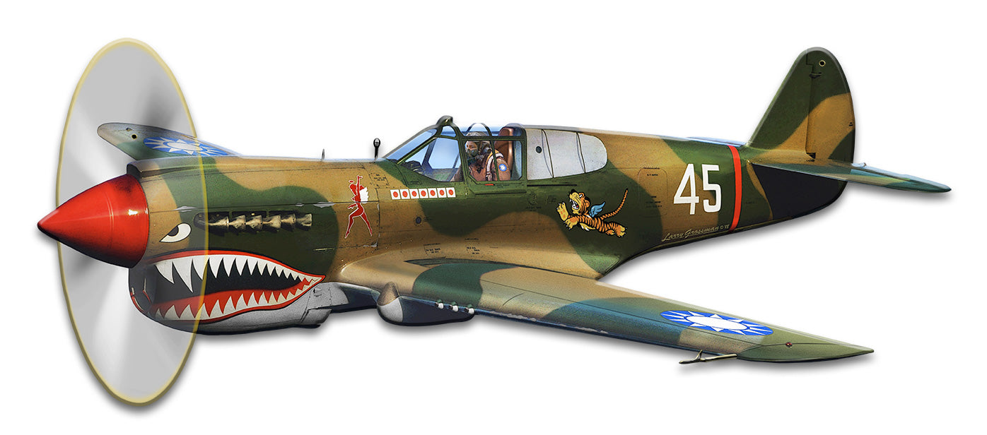 P-40 Flying Tigers Vintage Sign, Automotive, Metal Sign, Wall Art, 18 X 8 Inches
