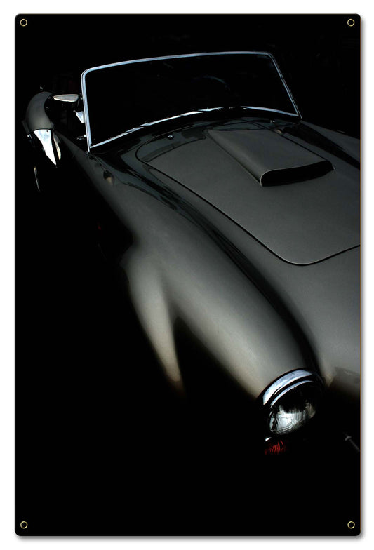 Classic Curves Vintage Sign, Oil & Petro, Metal Sign, Wall Art, 16 X 24 Inches