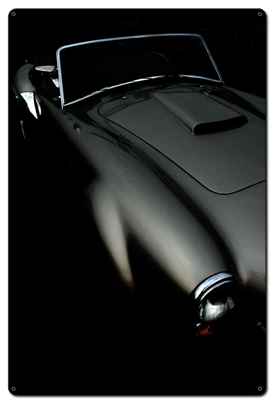 Classic Curves Vintage Sign, Oil & Petro, Metal Sign, Wall Art, 24 X 36 Inches