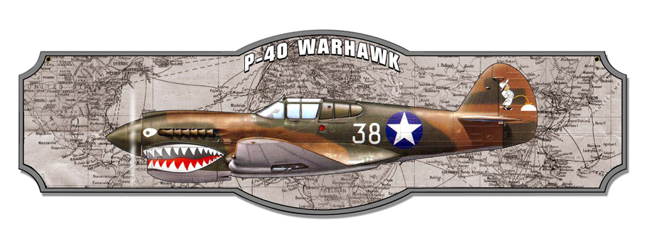 1P-40 Vintage Sign, Aviation, Metal Sign, Wall Art, 35 X 10 Inches