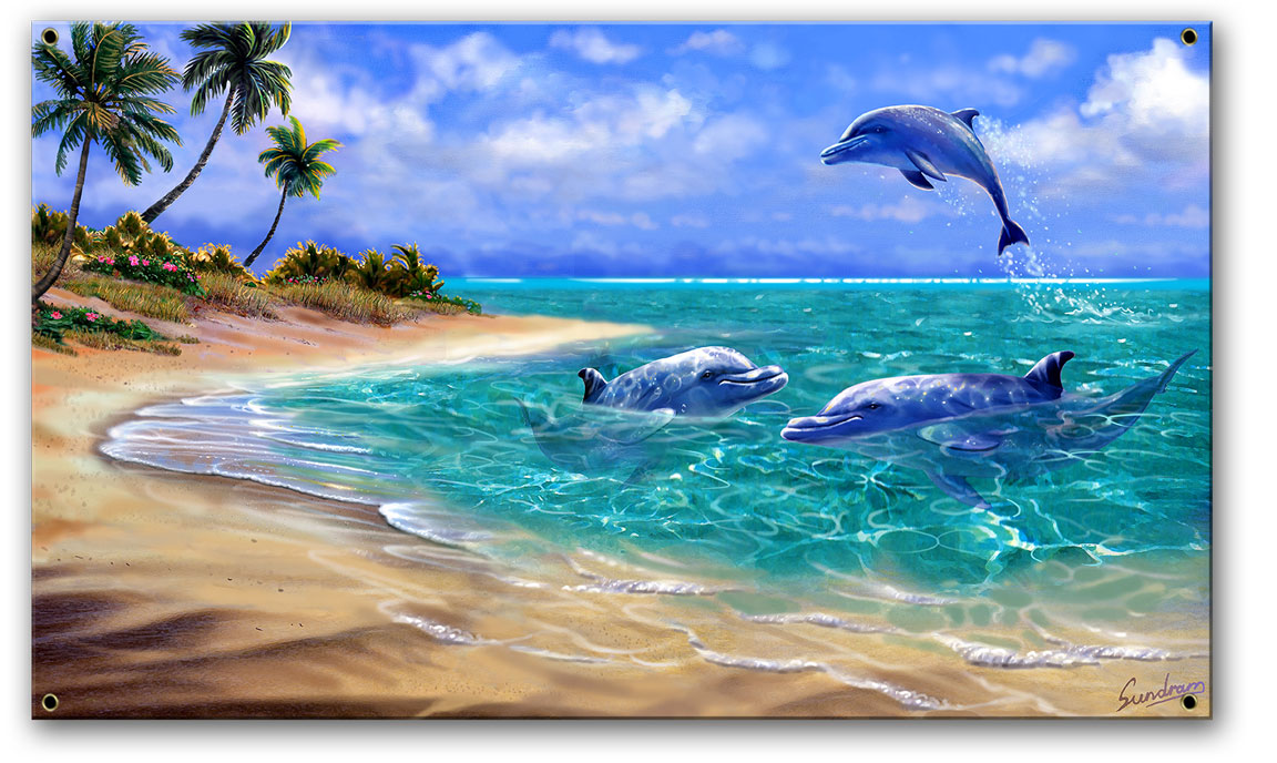 Bahama Dolphins Vintage Sign, Ocean and Beach, Metal Sign, Wall Art, 21 X 11 Inches