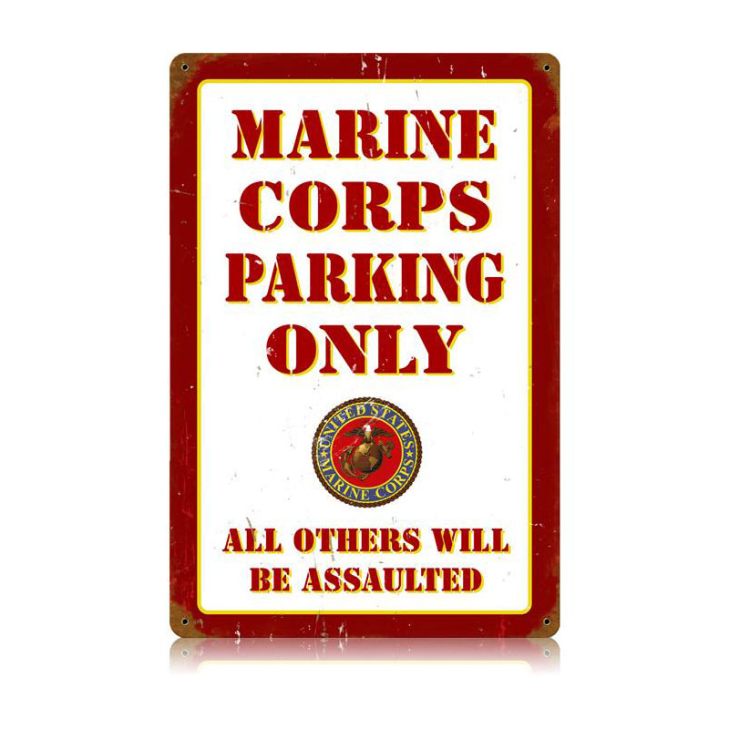 V579, Automotive, Metal Sign, Wall Art, 12 X 18 Inches