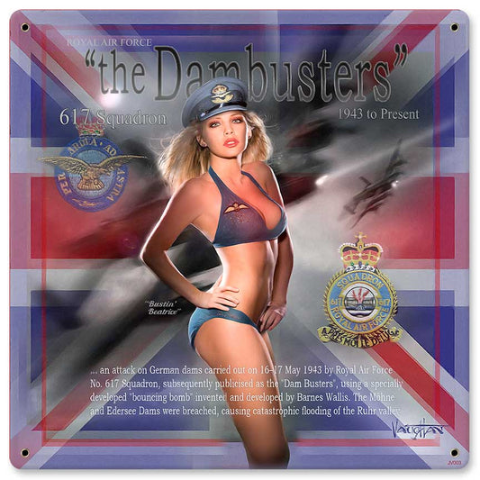 Dambusters 617 Squadron Vintage Sign, Aviation, Metal Sign, Wall Art, 12 X 12 Inches