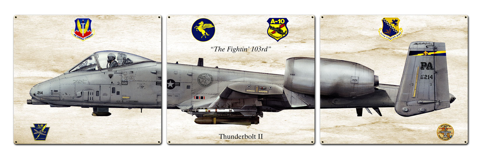 Thunderbolt II, Aviation, Metal Sign, Wall Art, 16 X 14 Inches