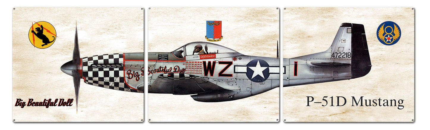 P-51 Mustang, Aviation, Metal Sign, Wall Art, 16 X 14 Inches