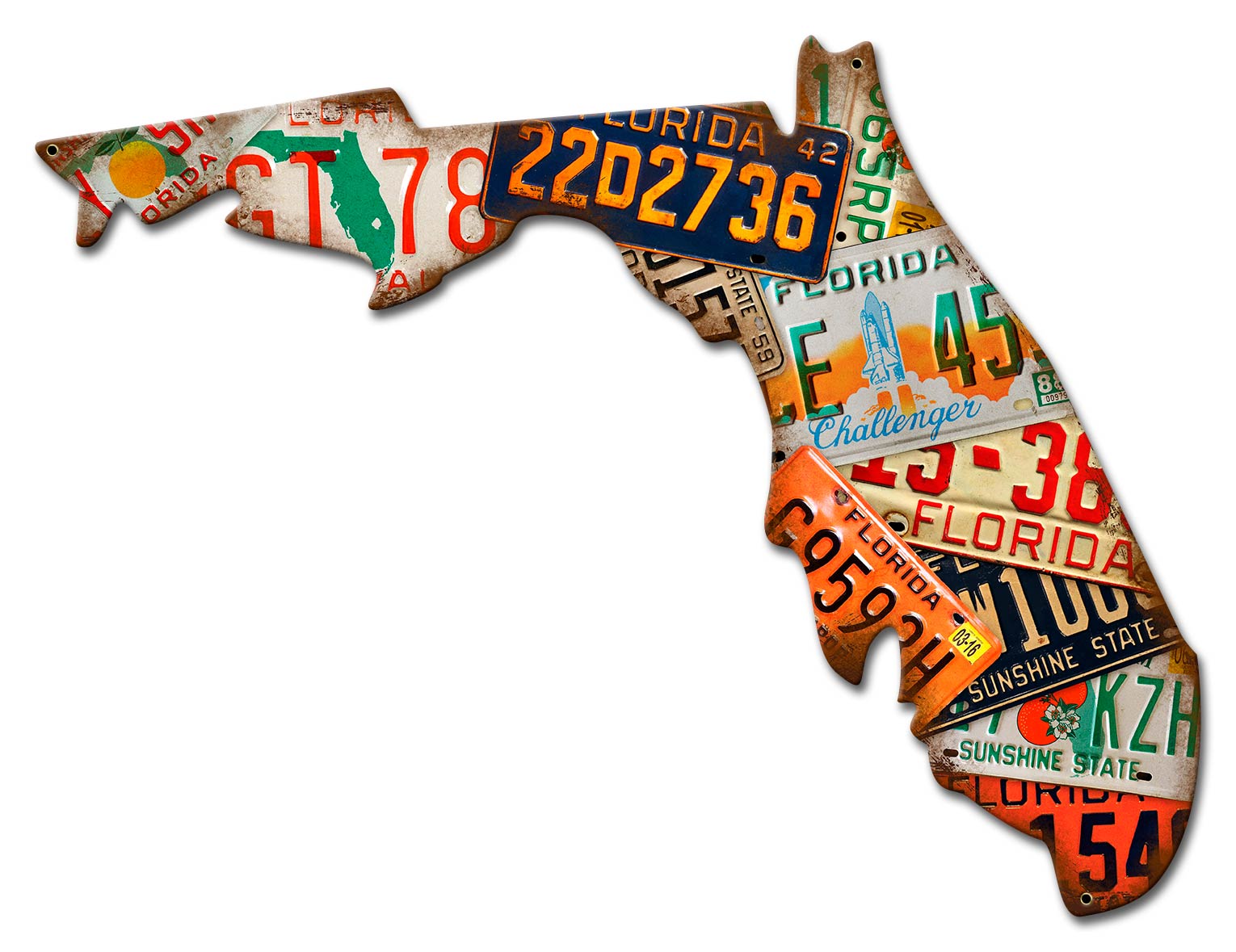 Florida License Plates, License Plates, Metal Sign, Wall Art, 20 X 15 Inches