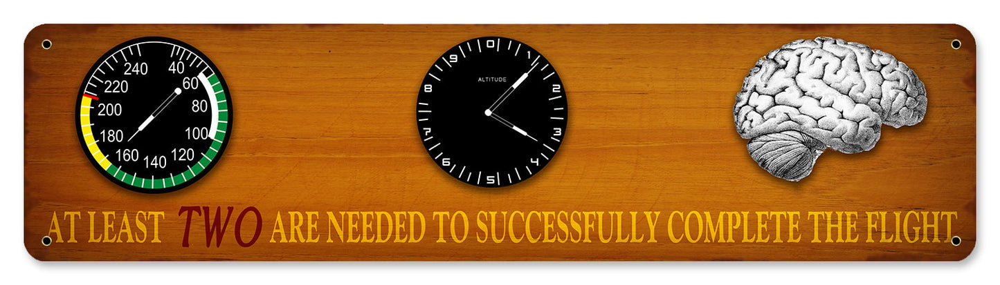 Altitude, Airspeed, and Brains, Aviation, Metal Sign, Wall Art, 20 X 5 Inches
