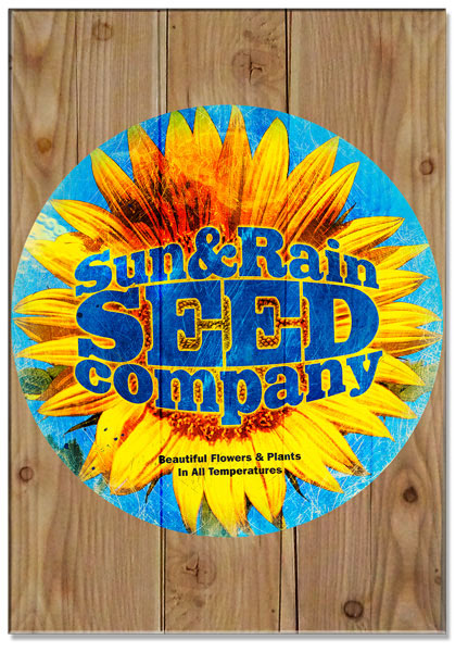 Sun Rain Sunflower, Home & Garden, Metal Sign, Wall Art, 14 X 20 Inches