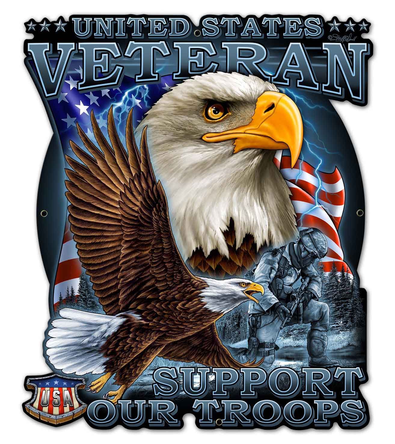 Veteran Military 2, Other, Metal Sign, Wall Art, 23 X 26 Inches