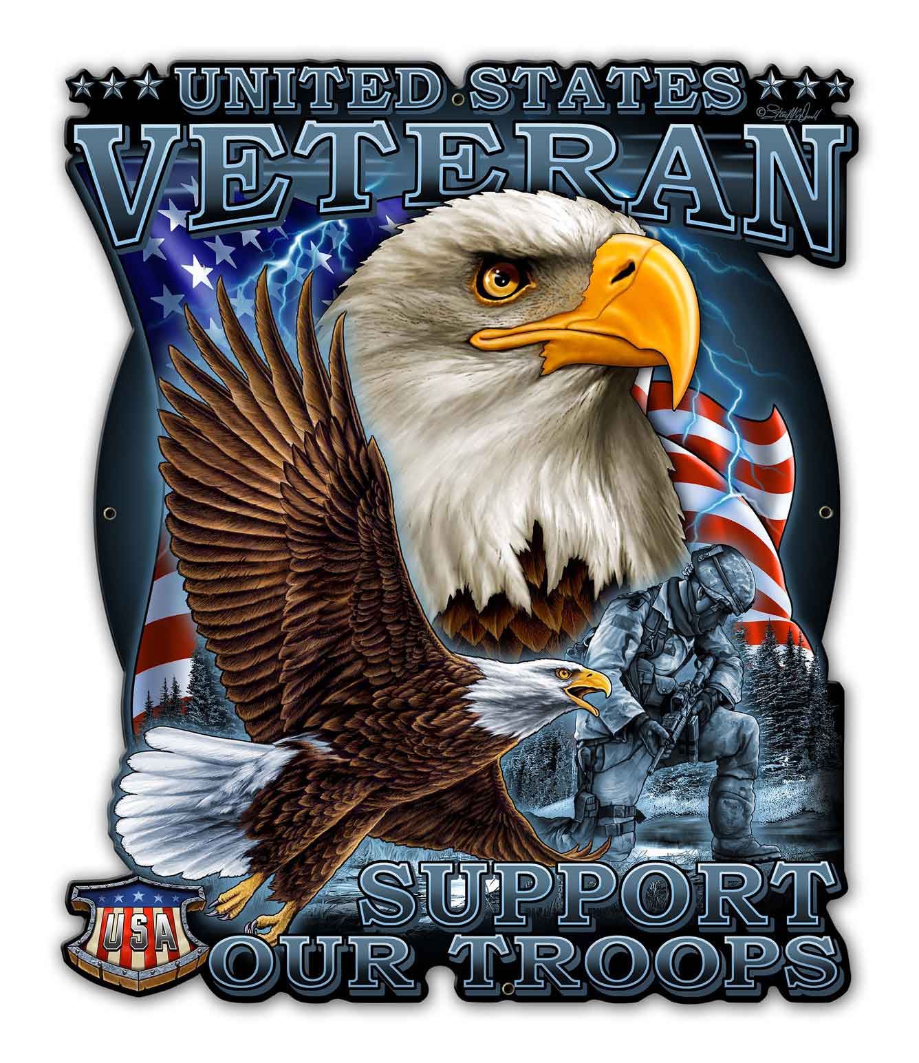Veteran Military 2, Other, Metal Sign, Wall Art, 28 X 33 Inches