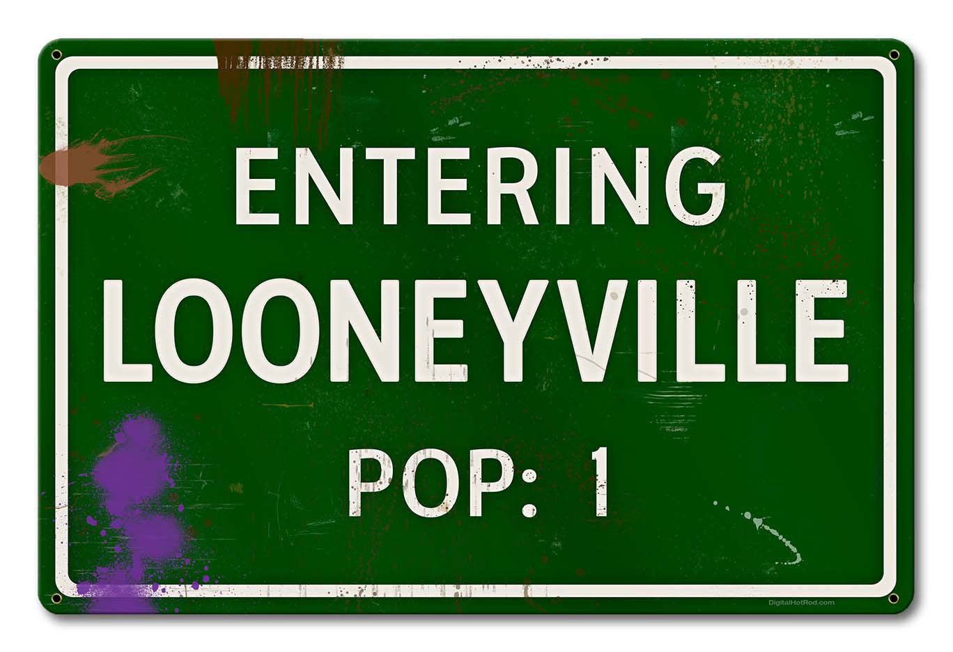 Looneyville Grunge Road Sign