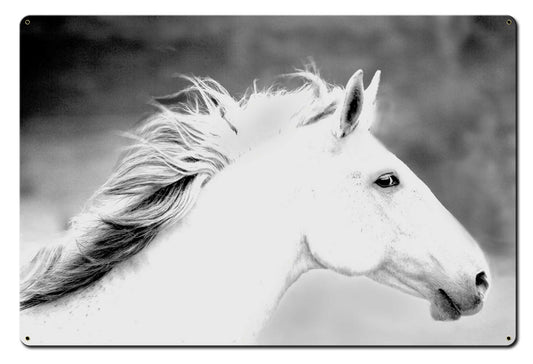 Mane In The Wind